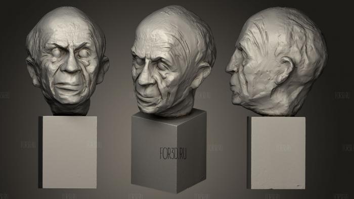 Retrato de Picasso 3d stl модель для ЧПУ